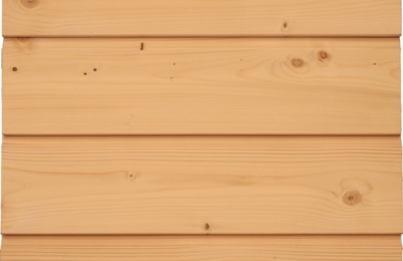 egles-dailylentes-pirties-lauko-136mm