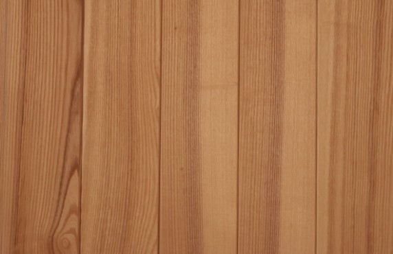 uosio-dailylentes-pirties-vidaus-95mm